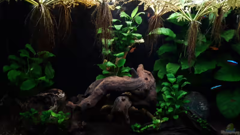 Gesamt_20191222 von Mich (18)