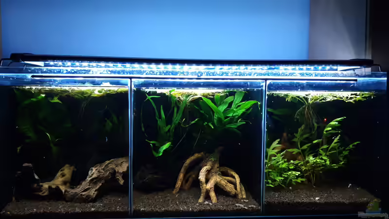 Gesamt_20191223 von Mich (14)