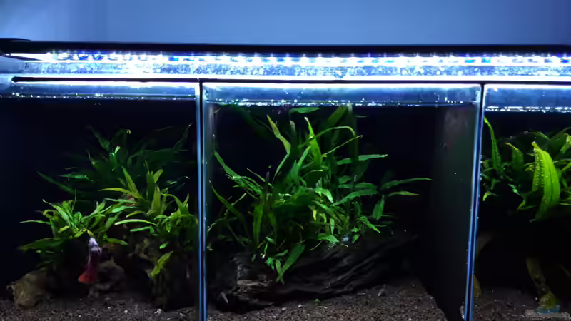 Gesamt_20201008 von Mich (6)