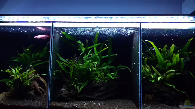 Gesamt_20201019 von Mich (5)