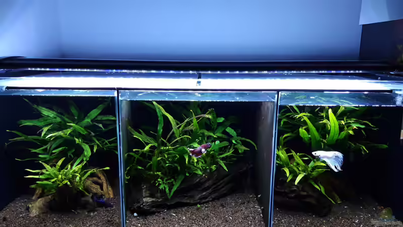 Gesamt_20201119 von Mich (4)