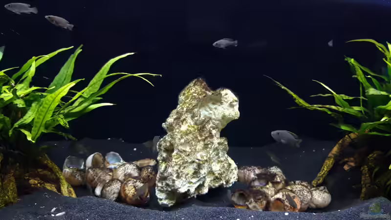 Gesamt_20211031 von Mich (5)