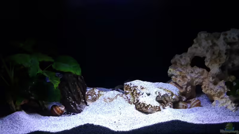 Gesamt_20230113 von Mich (1)