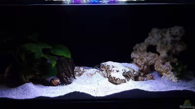 Gesamt_20230113 von Mich (2)