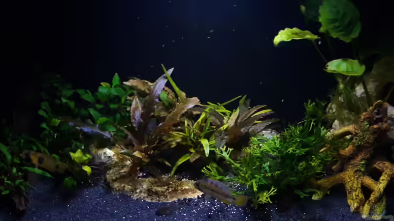 Gesamt_20230628 von Mich (11)