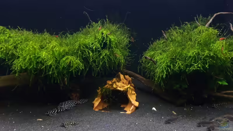 Gesamt_20240703 von Mich (3)