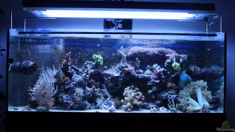 Gesamt 25.07.2014 von Jane Vogeler (35)