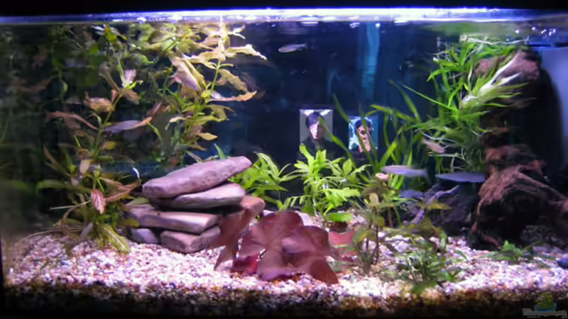 gesamt am 22.06.08 von katharina (5)