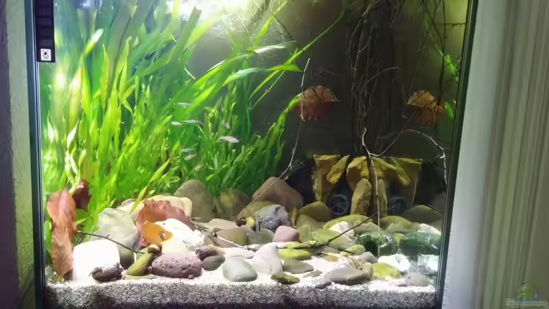 Gesamt Ansicht... von Miss Kasimir (32)