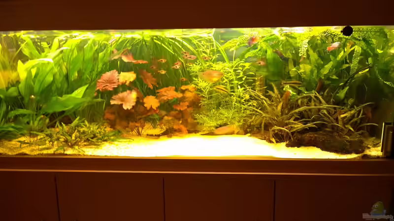 Gesamt Ansicht 2014 im Oktober von Hans-Walter Bandt (8)