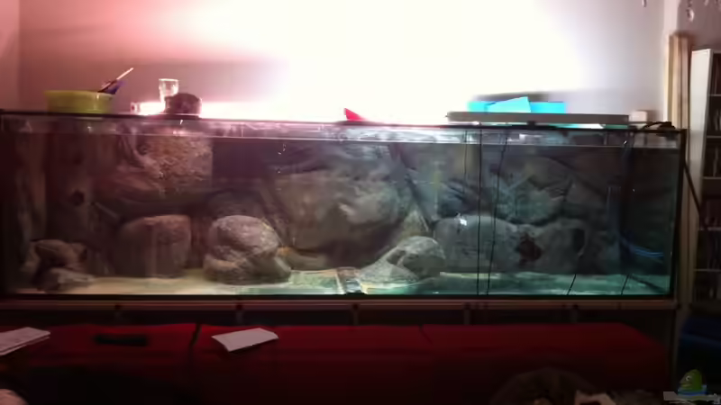 Gesamt Ansicht beim wässern ohne Verkleidung von Dynnarts (19)