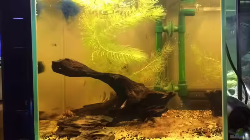 Gesamt-Ansicht des Beckens... von Helga Kury (4)