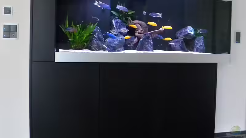 Gesamt-Ansicht von flightsim (27)