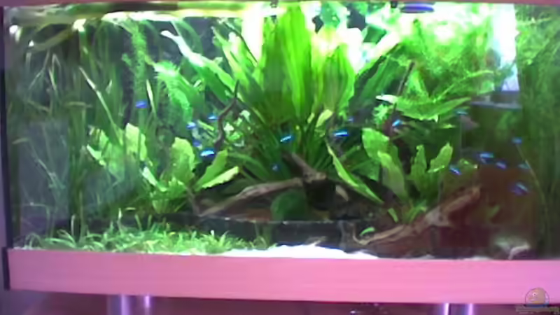 Gesamt ansicht von Freddy Burghartz (2)