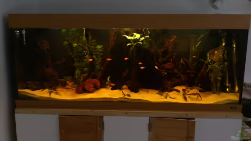 Gesamt Ansicht von Kai Heermann (2)