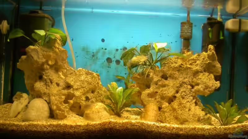 Gesamt-Ansicht von Kurt Kastl (4)