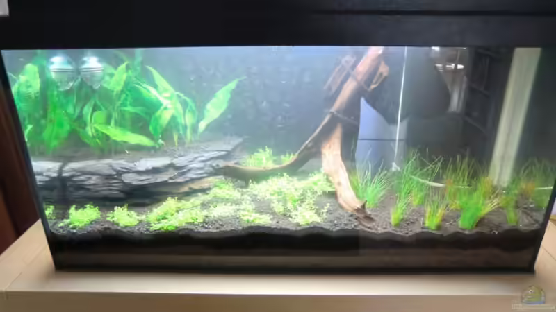 gesamt Ansicht von Mark Wittig (1)