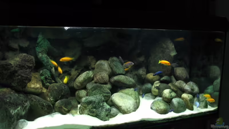 Gesamt Ansicht von Pille (1)