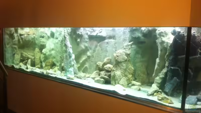 Gesamt von Dirk Beßler (4)