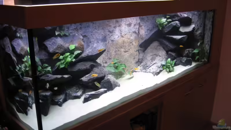 Gesamt von links von Klaus Traxler (4)