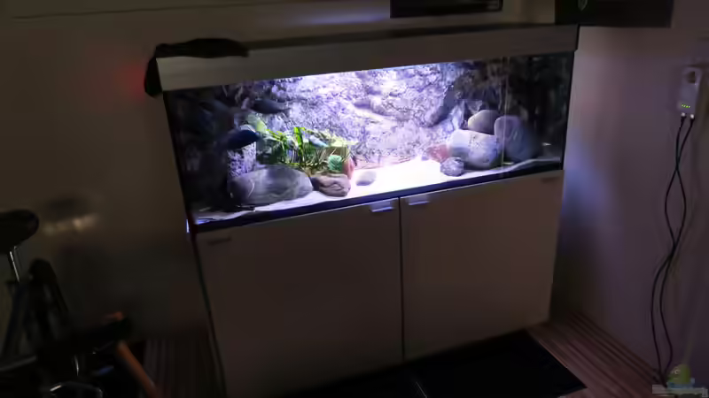 Gesamt von Lynex (3)