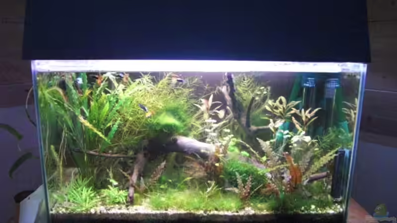 Gesamt von Max94 (2)