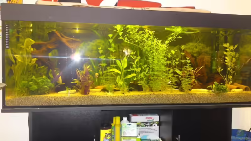 Gesamt von Patrick Adler (2)