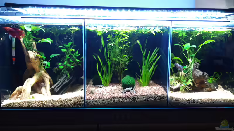 Gesamt1_20190506 von Mich (26)