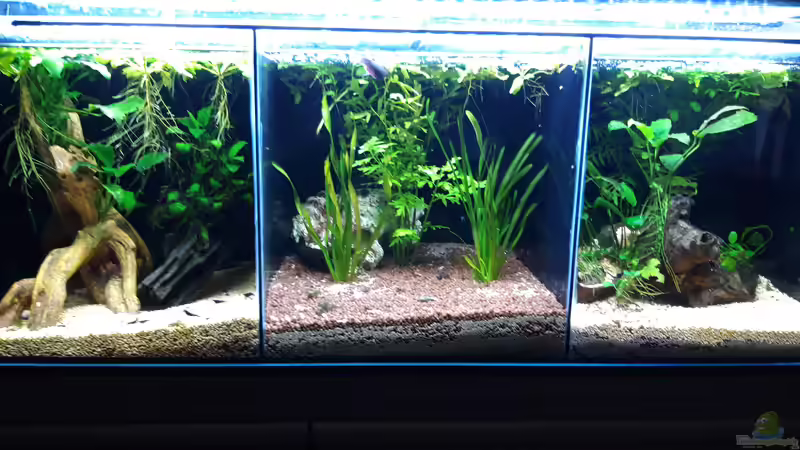 Gesamt1_20190516 von Mich (23)