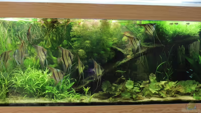 Gesamtanicht 13.07.2013 von Richard Gärtner (1)