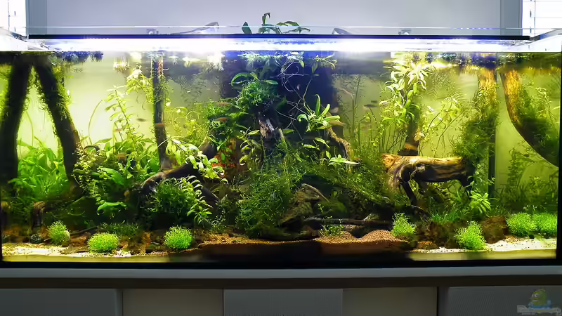 Gesamtansicht - 01.08.2011 von bergfrau (15)