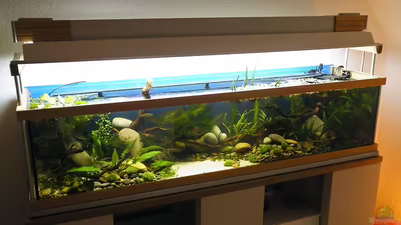 Gesamtansicht - 10.07.2011 von bergfrau (16)