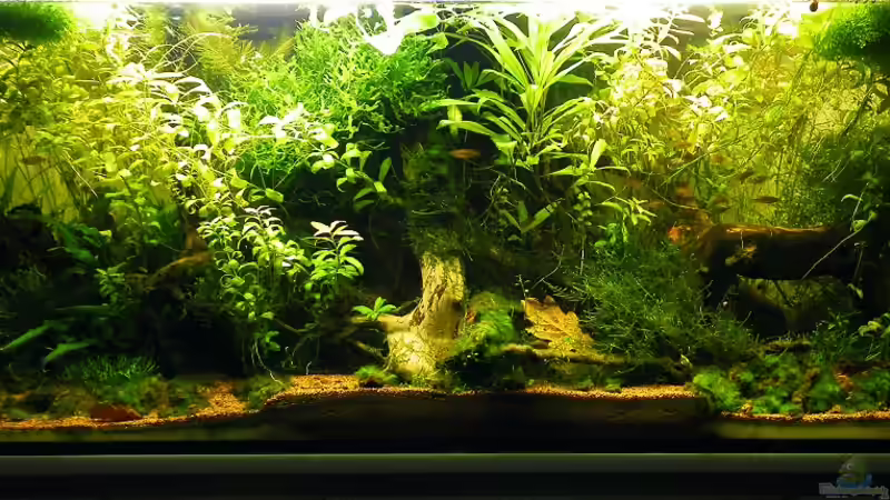 Gesamtansicht - 25.10.2011 von bergfrau (1)