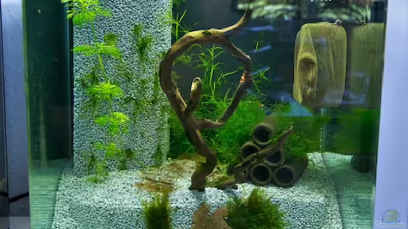 Gesamtansicht - 26.06.2011 von Beni M (4)