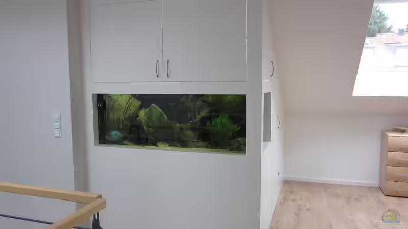 Gesamtansicht - Front von Holly (10)