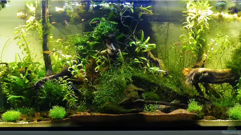 Gesamtansicht / HB - 01.08.2011 von bergfrau (5)