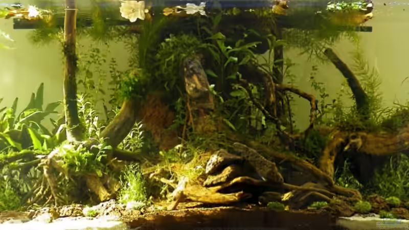 Gesamtansicht / HB - 06.05.2011 von bergfrau (2)