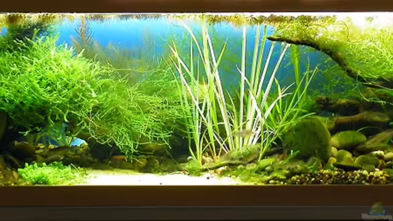 Gesamtansicht / HB - 25.10.2011 von bergfrau (8)