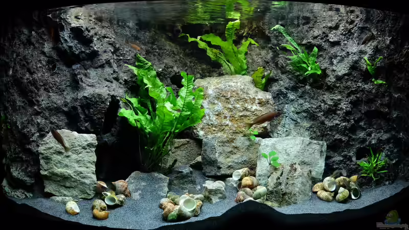 Gesamtansicht - Jan 2016 von Harald Götz (2)