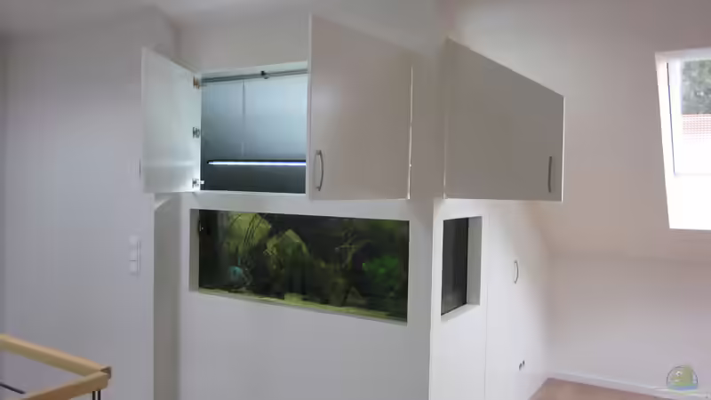 Gesamtansicht - Offene Türen zum Becken. von Holly (13)