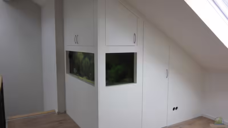 Gesamtansicht - Seite von Holly (11)