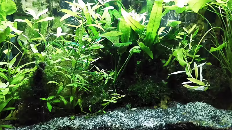 Gesamtansicht - Stand - 28.11.20 von odin 68 (85)