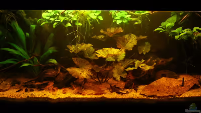 Gesamtansicht - Stand März 2013 von Andreas Fuchs (1)