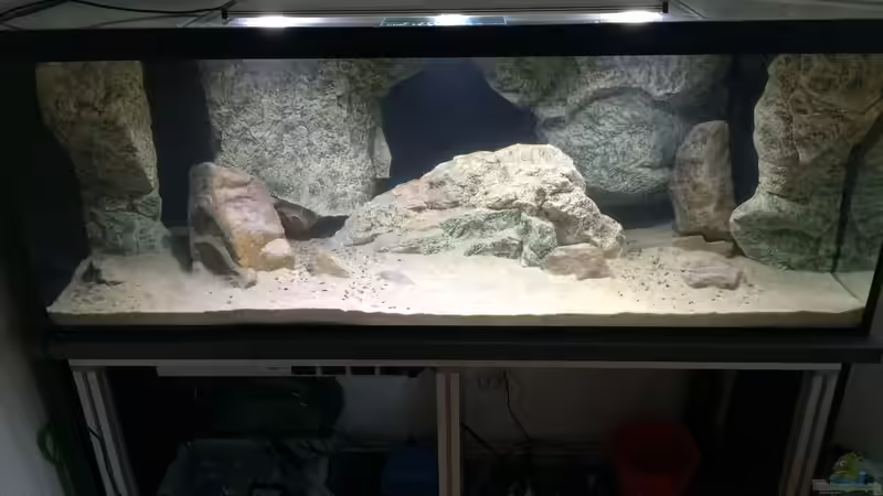 Gesamtansicht: 3-Cluster-Variante auf maximaler Länge verteilt. von Branjo (16)