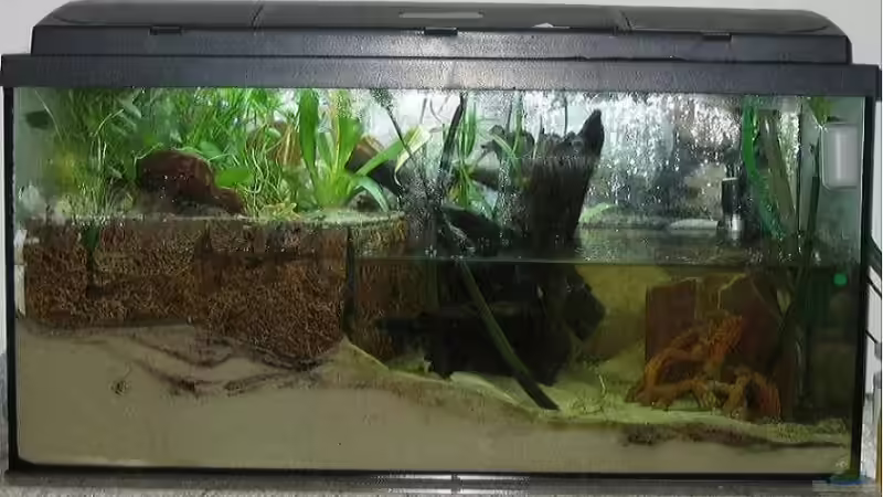 Gesamtansicht: links Landteil aus Struckturrückwand, rechts Wasserteil. von Christian Friedrich (3)