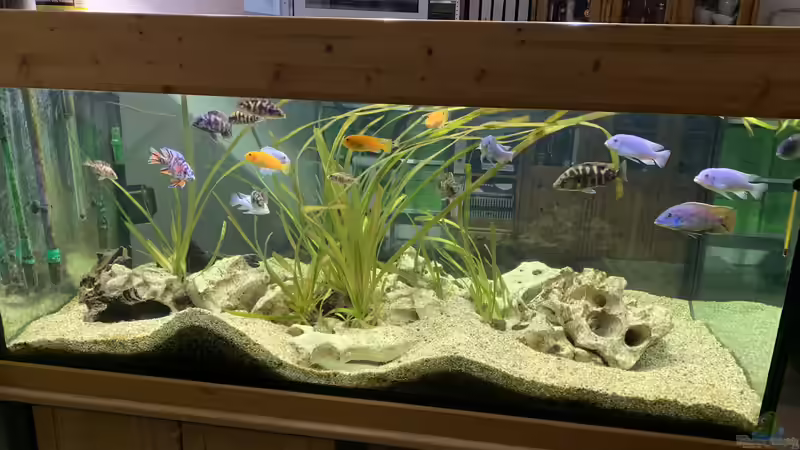 Gesamtansicht  von knoeri (5)