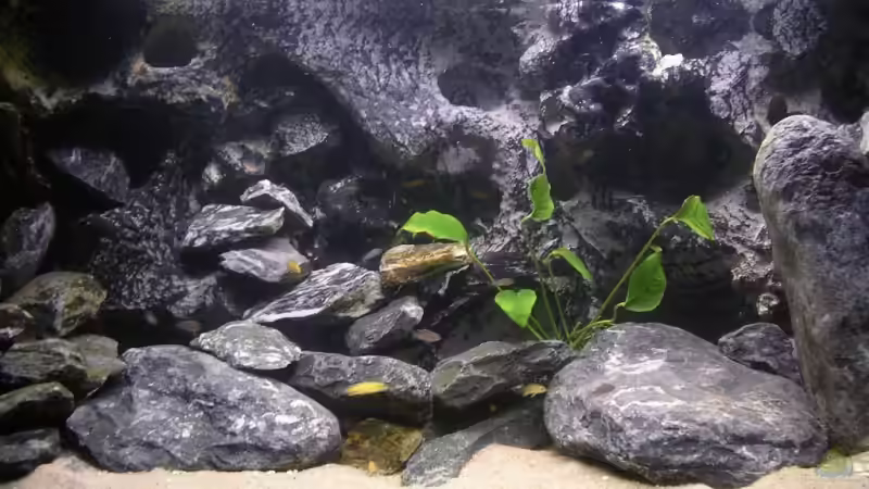 Gesamtansicht  von magunga rock (2)