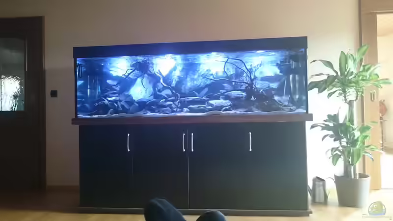 Gesamtansicht  von Tobias Summerer (23)