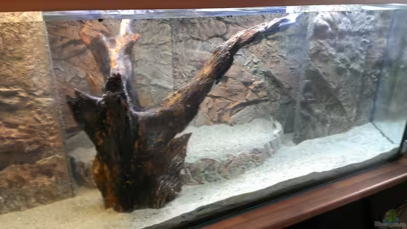 Gesamtansicht, Wasser unter von raubsau (49)