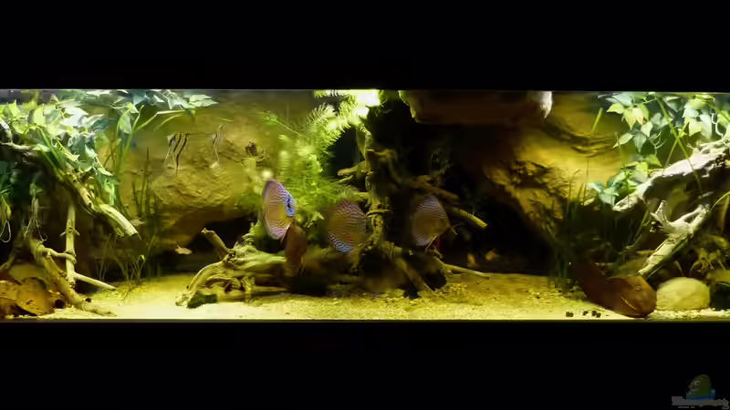 Gesamtansicht 01.04.14 von ~Marco~ (15)